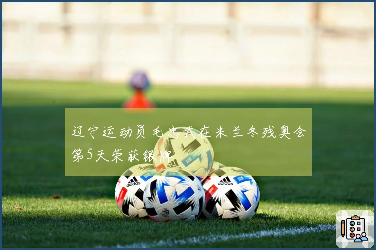 辽宁运动员毛忠武在米兰冬残奥会第5天荣获银牌