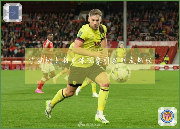 宁波树上羽毛球现象引发网友热议