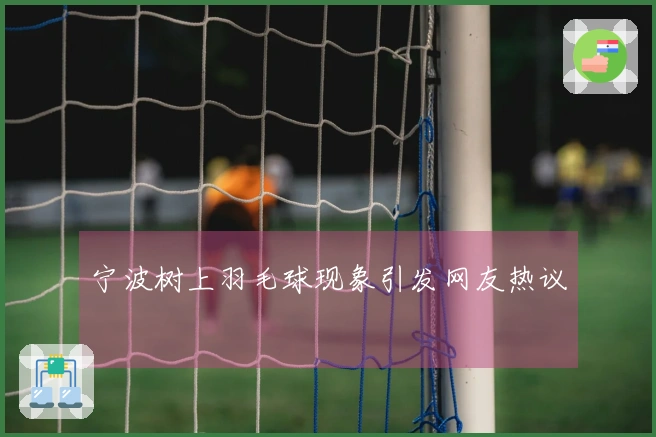 宁波树上羽毛球现象引发网友热议